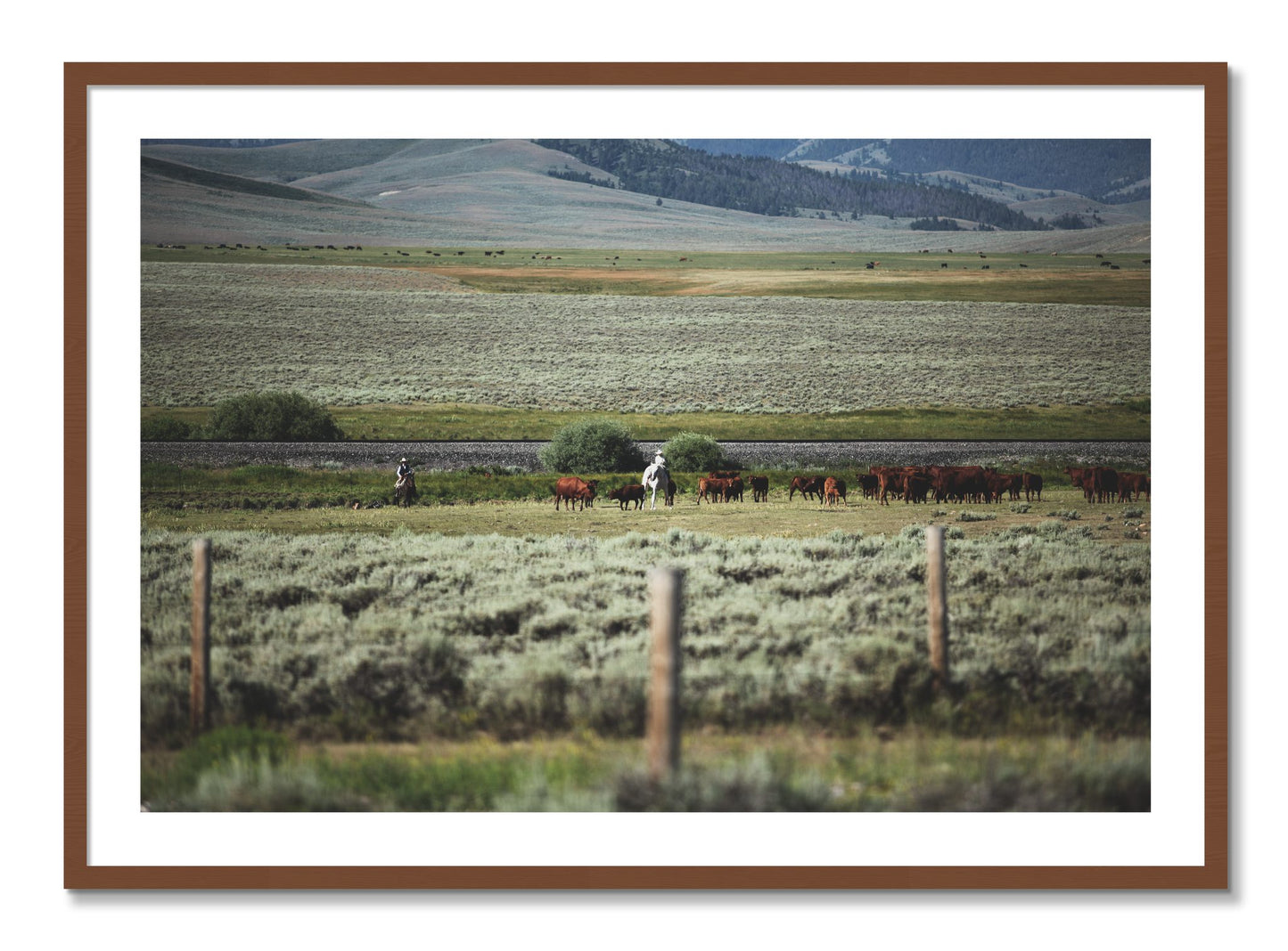 Framed photograph of Montana by Dylan Ozanich, Walnut frame, Borders