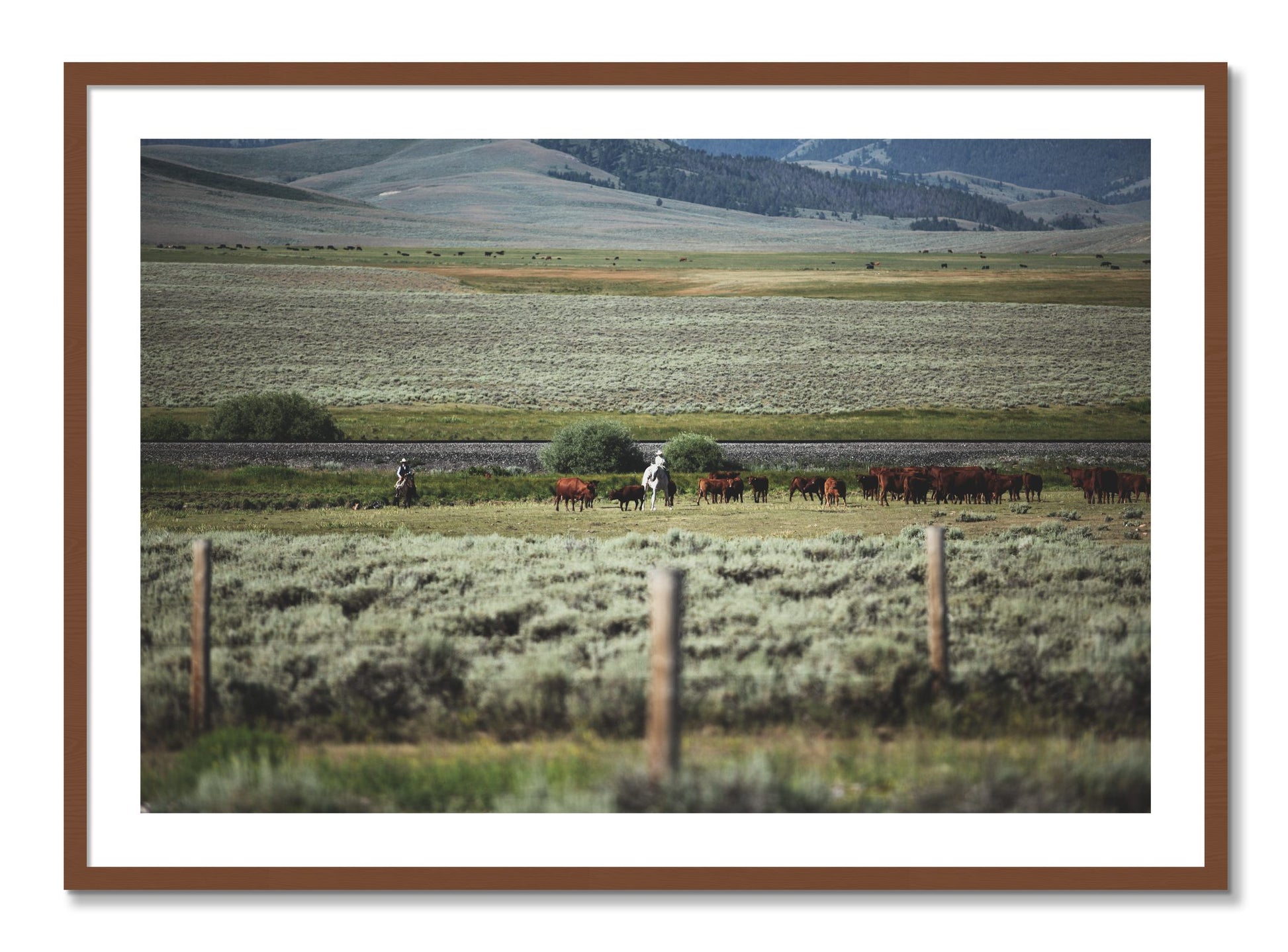 Framed photograph of Montana by Dylan Ozanich, Walnut frame, Borders