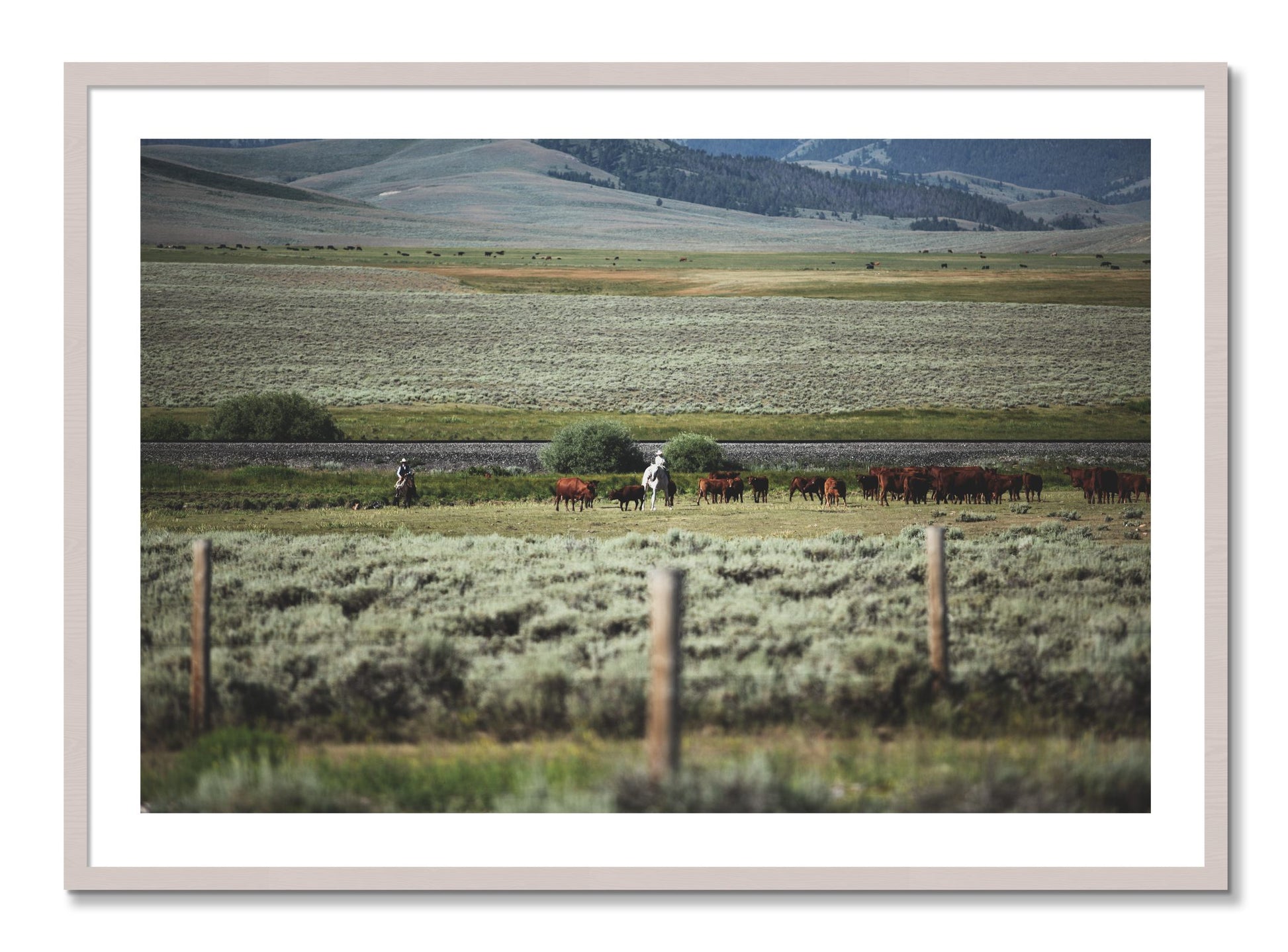 Framed photograph of Montana by Dylan Ozanich, White Maple frame, Borders