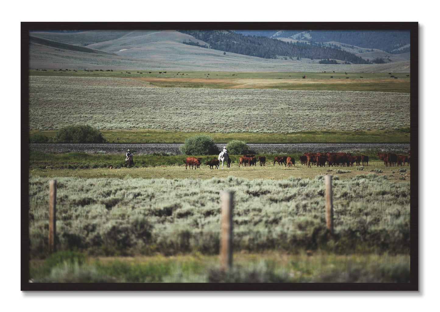 Framed photograph of Montana by Dylan Ozanich, Black Walnut frame, Full Bleed