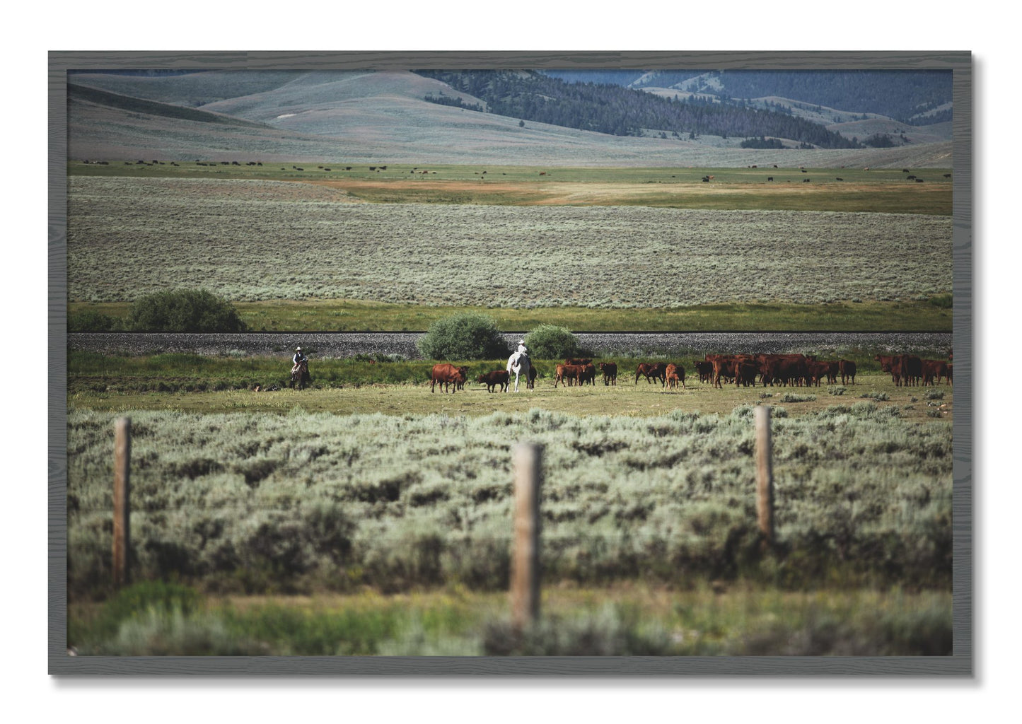 Framed photograph of Montana by Dylan Ozanich, Grey frame, Full Bleed