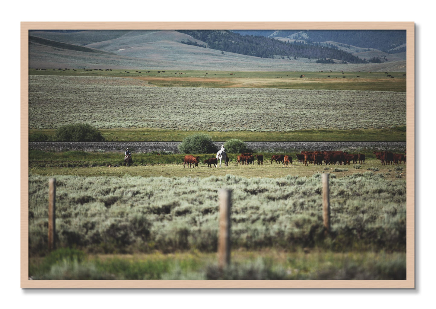 Framed photograph of Montana by Dylan Ozanich, Maple frame, Full Bleed