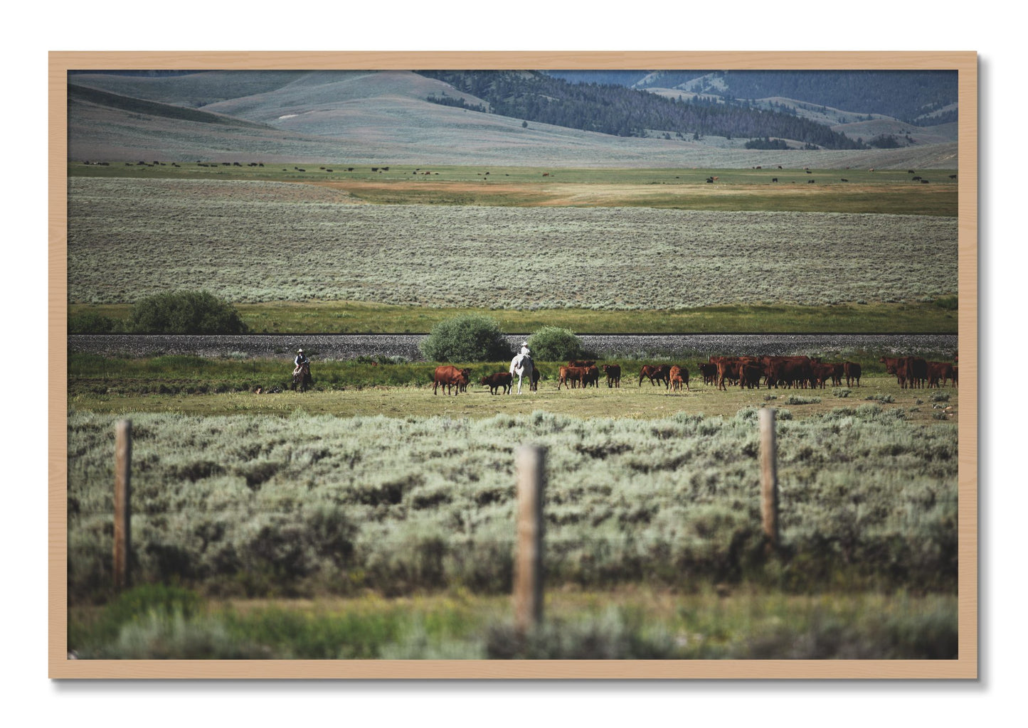 Framed photograph of Montana by Dylan Ozanich, Oak frame, Full Bleed