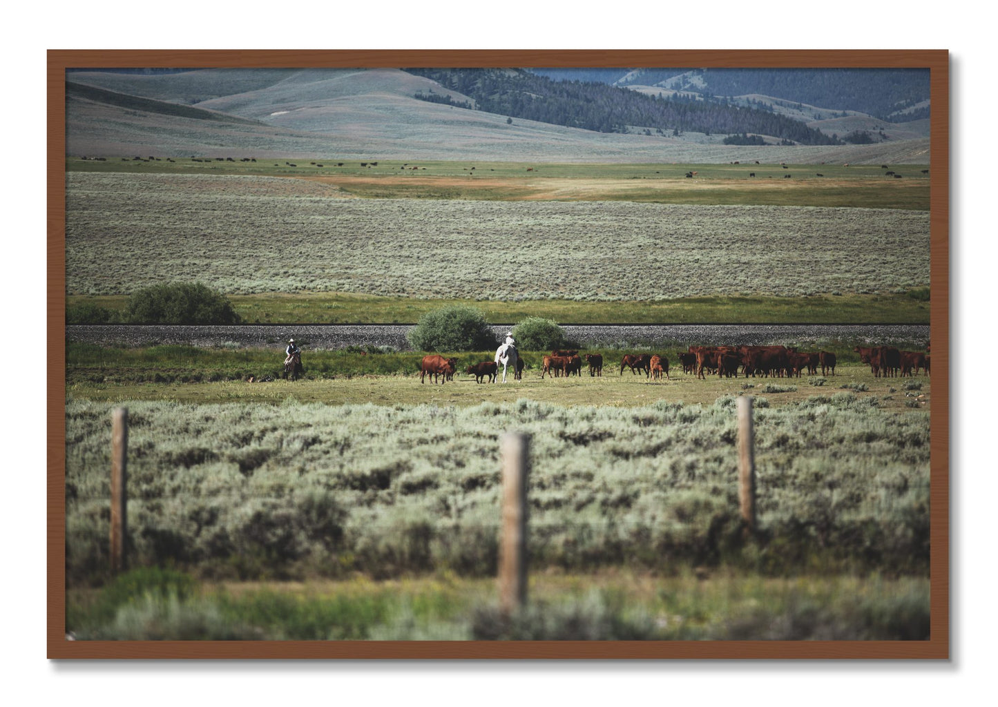 Framed photograph of Montana by Dylan Ozanich, Walnut frame, Full Bleed