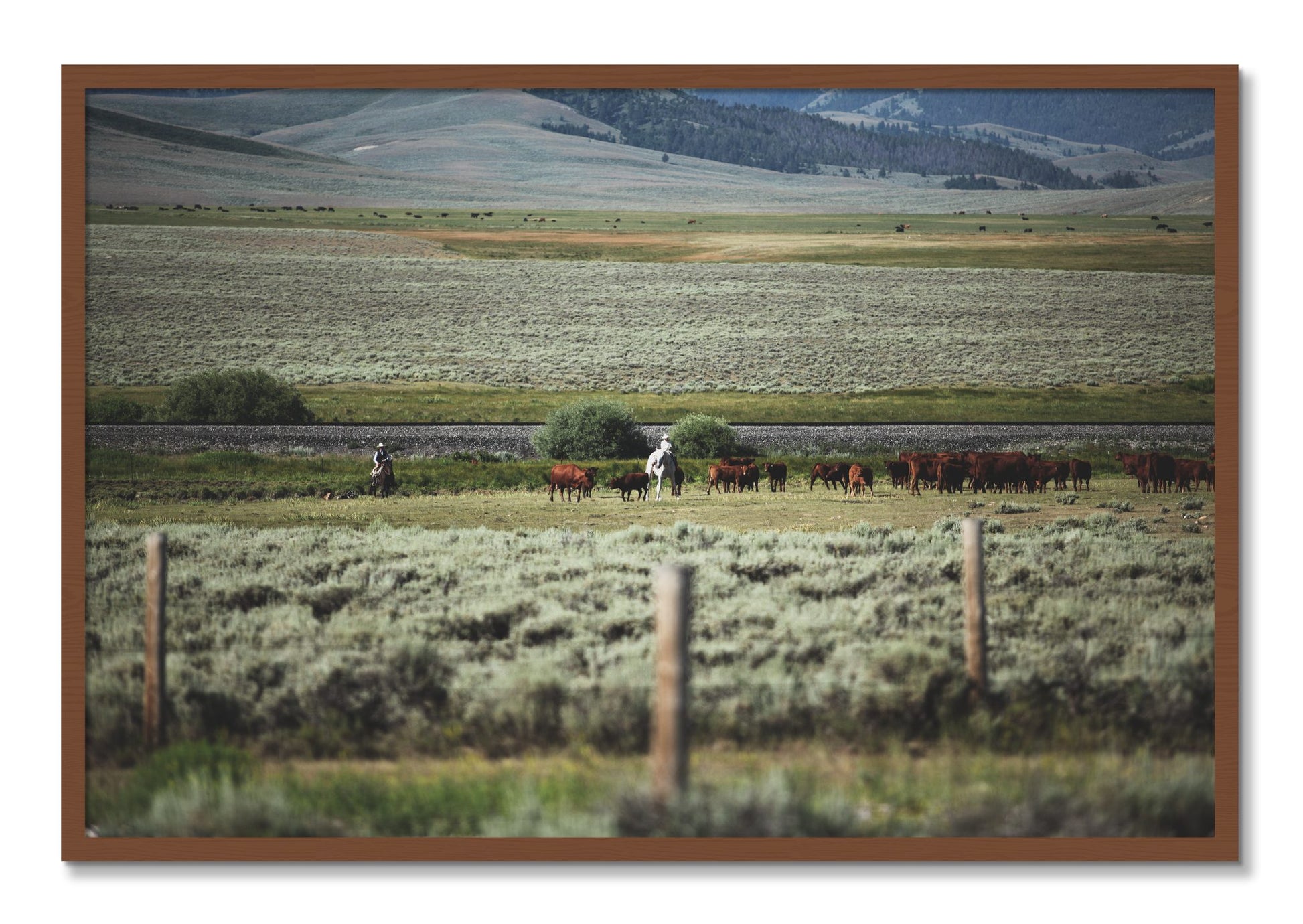Framed photograph of Montana by Dylan Ozanich, Walnut frame, Full Bleed