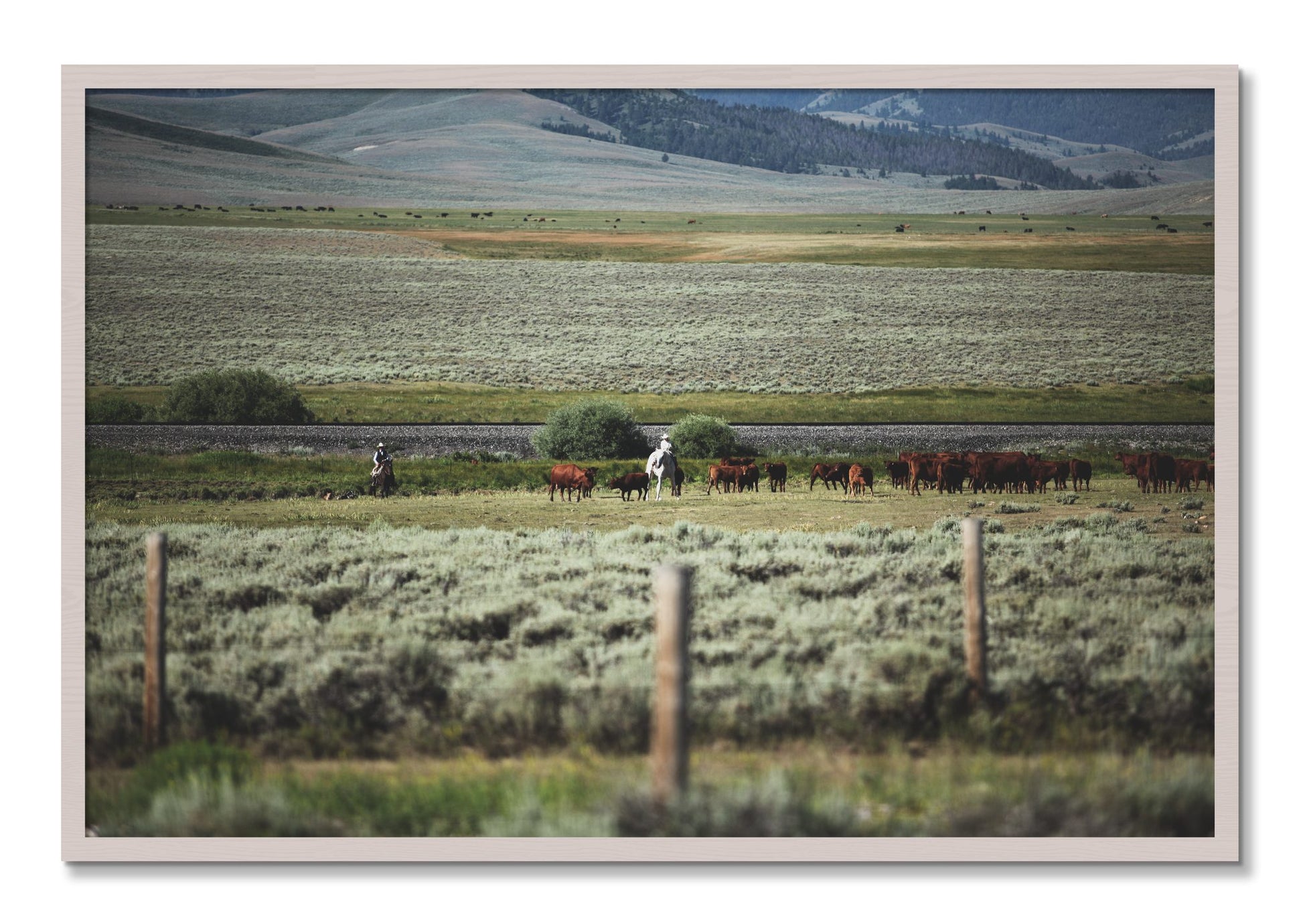 Framed photograph of Montana by Dylan Ozanich, White Maple frame, Full Bleed