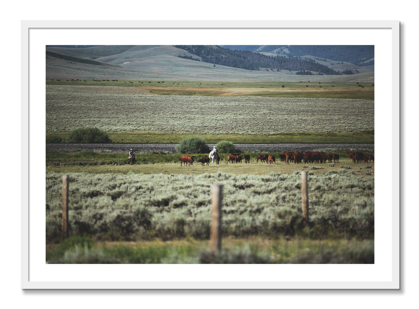 Framed photograph of Montana by Dylan Ozanich, White frame, Full Bleed