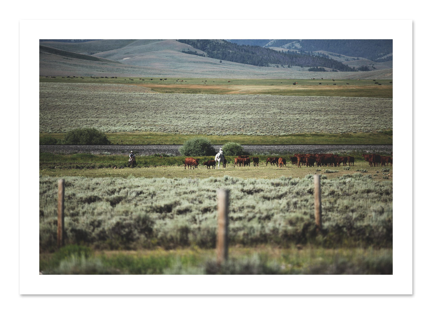 Fine art print of Montana by Dylan Ozanich, unframed