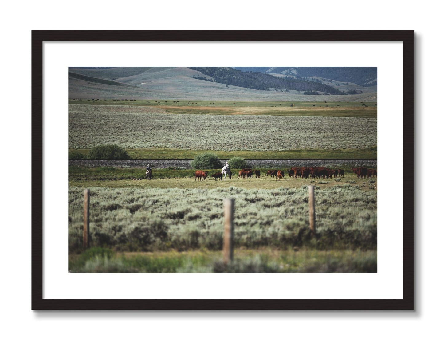 Framed photograph of Montana by Dylan Ozanich, Black frame, Borders