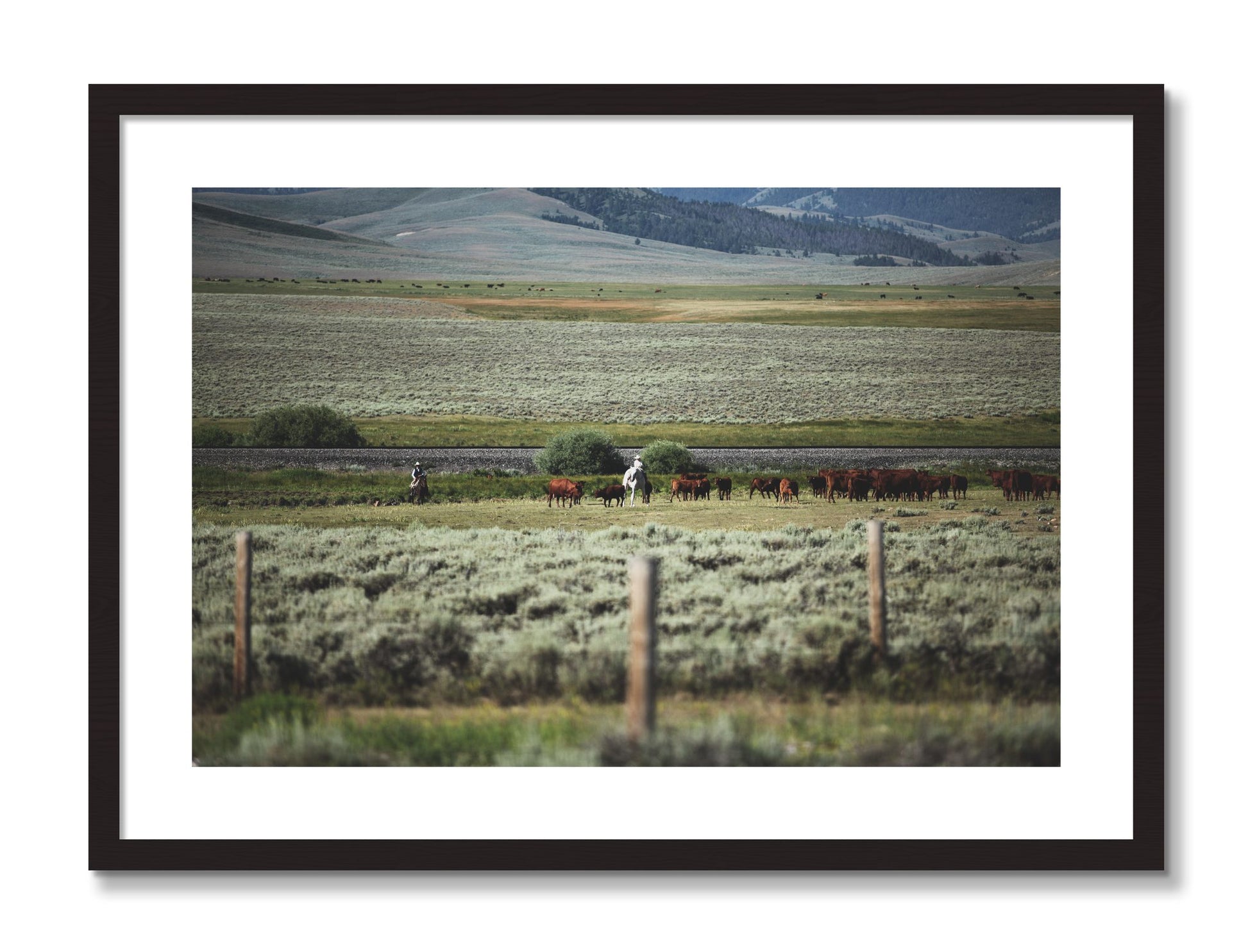 Framed photograph of Montana by Dylan Ozanich, Black frame, Borders