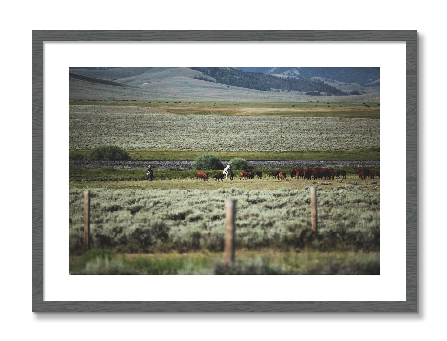 Framed photograph of Montana by Dylan Ozanich, Grey frame, Borders