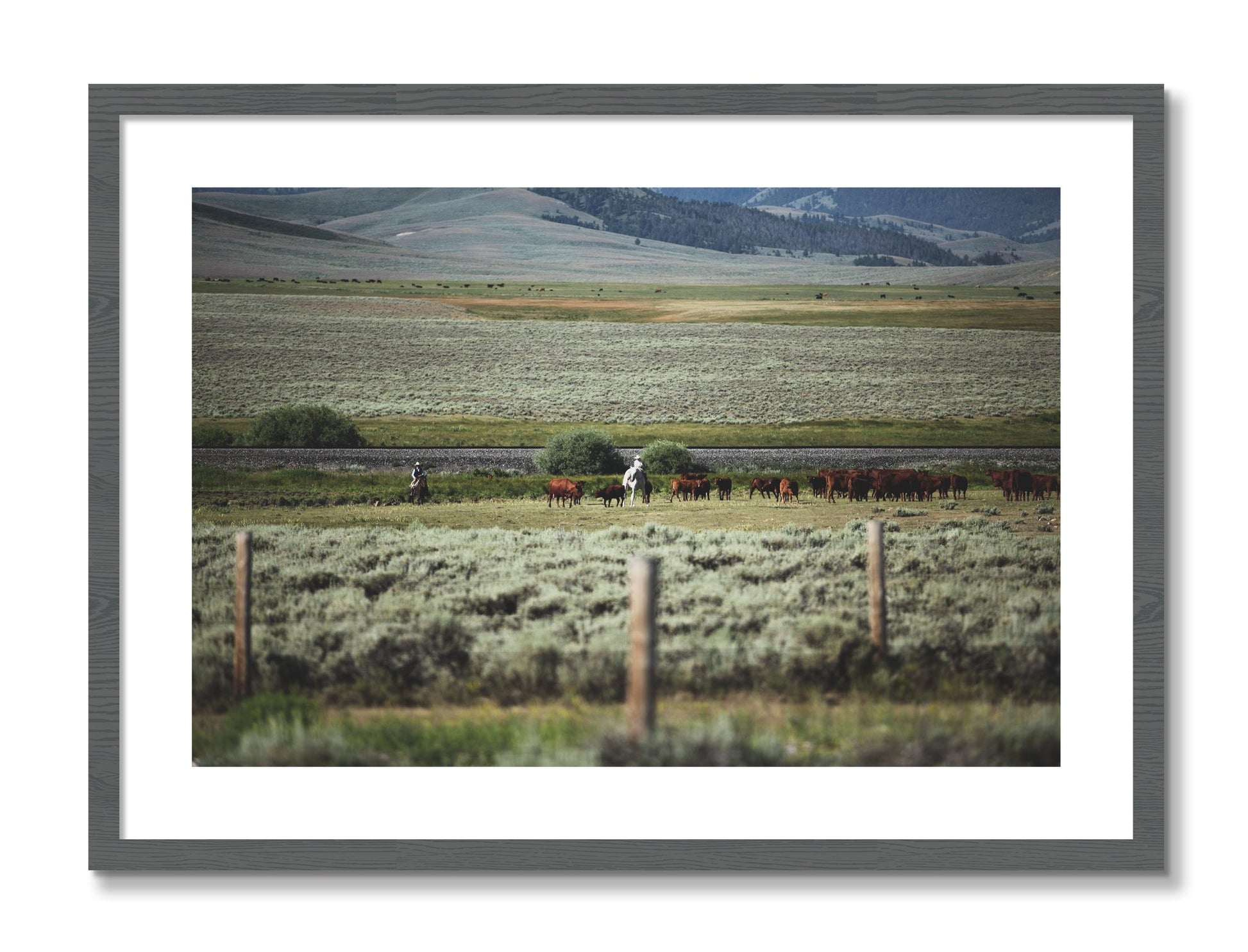 Framed photograph of Montana by Dylan Ozanich, Grey frame, Borders