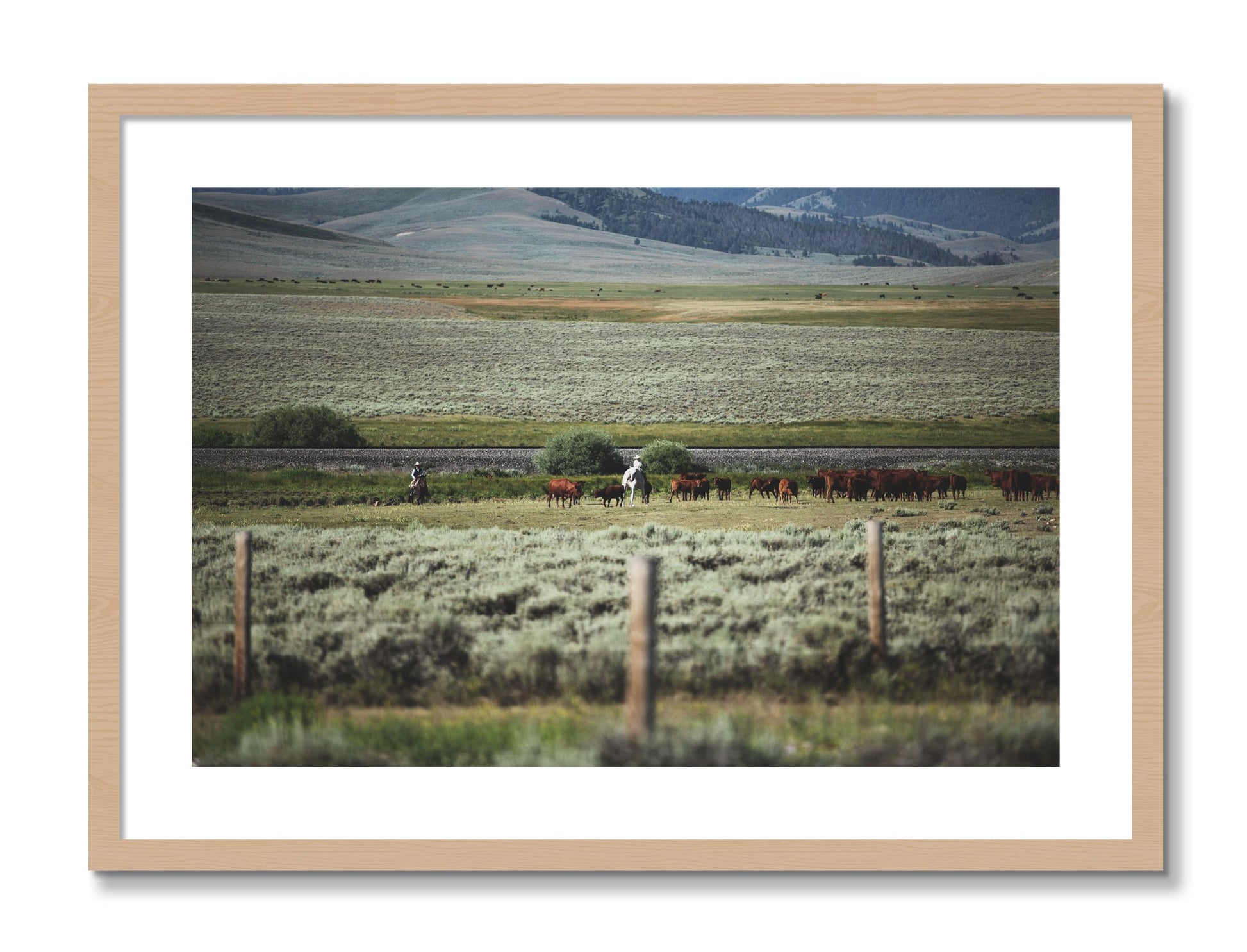 Framed photograph of Montana by Dylan Ozanich, Oak frame, Borders