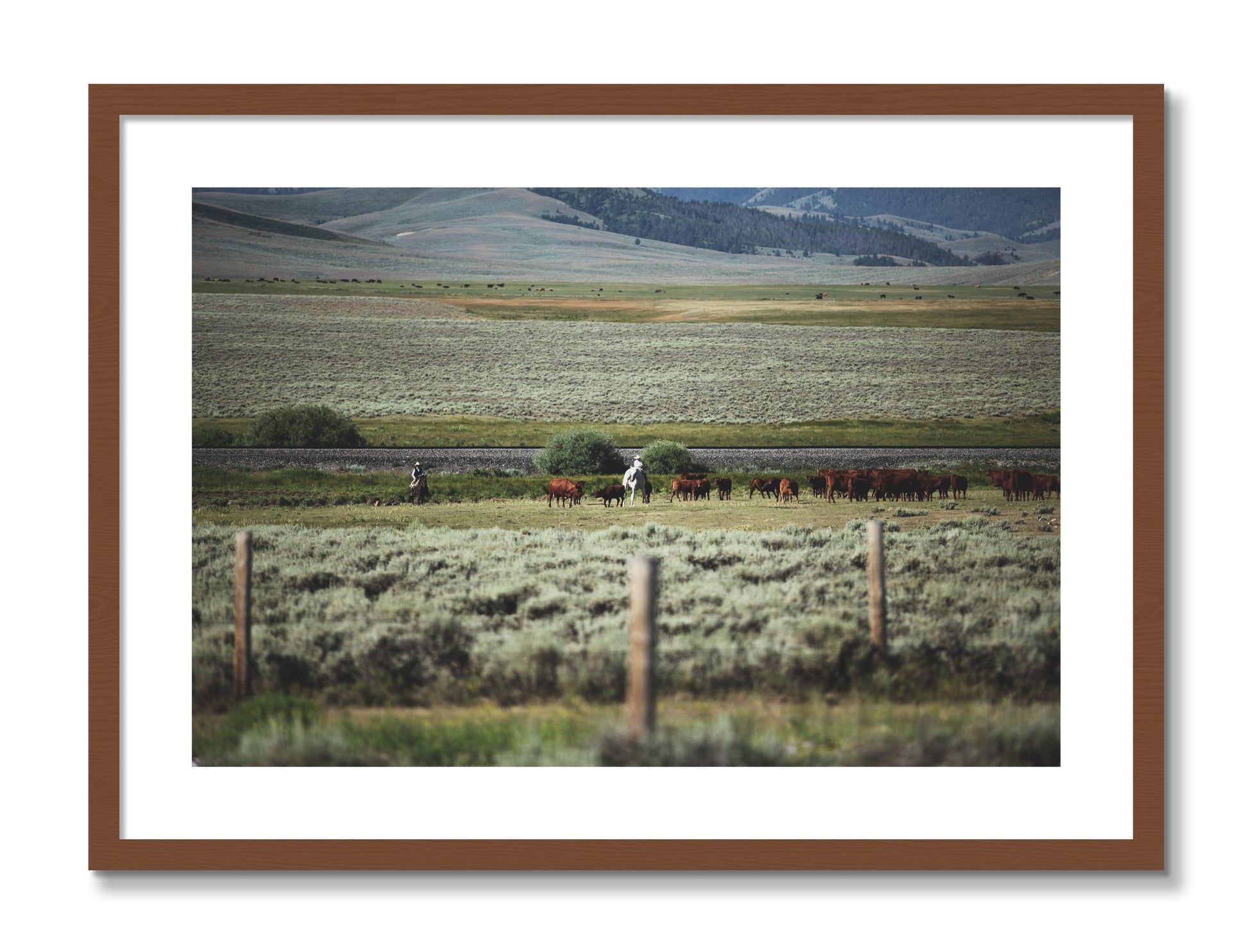 Framed photograph of Montana by Dylan Ozanich, Walnut frame, Borders