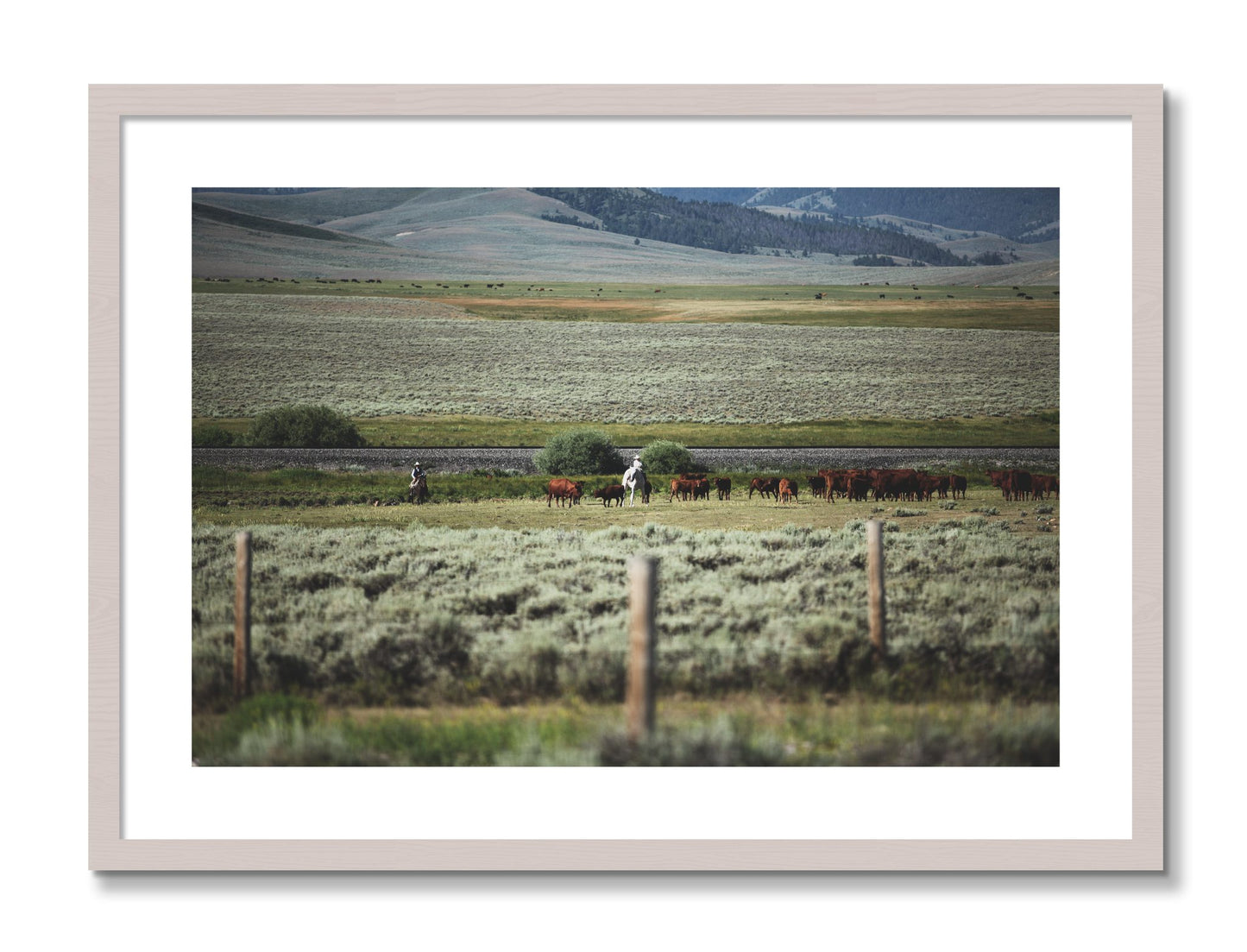 Framed photograph of Montana by Dylan Ozanich, White Maple frame, Borders