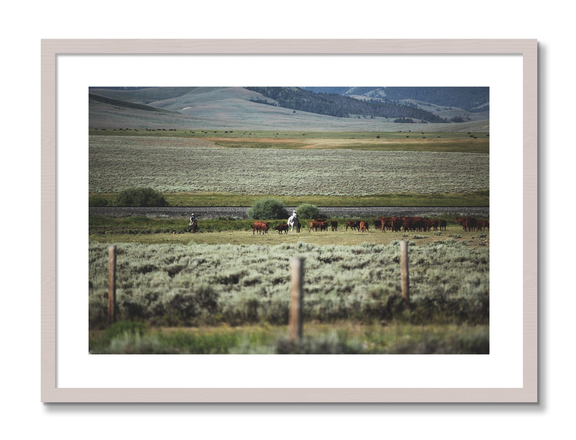Framed photograph of Montana by Dylan Ozanich, White Maple frame, Borders