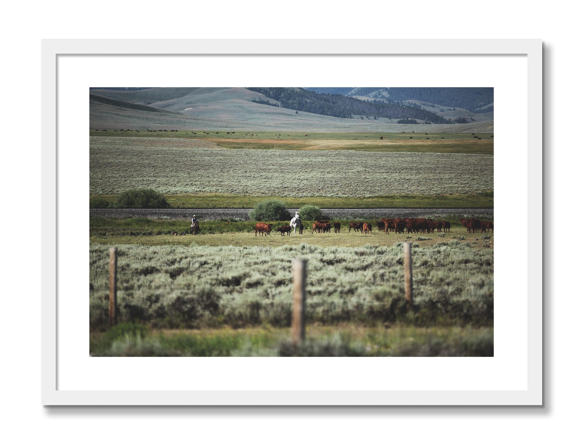 Framed photograph of Montana by Dylan Ozanich, White frame, Borders