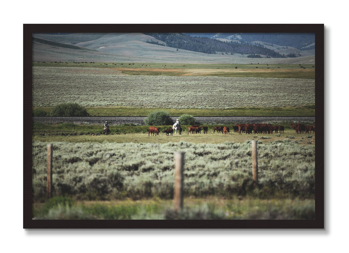Framed photograph of Montana by Dylan Ozanich, Black Walnut frame, Full Bleed