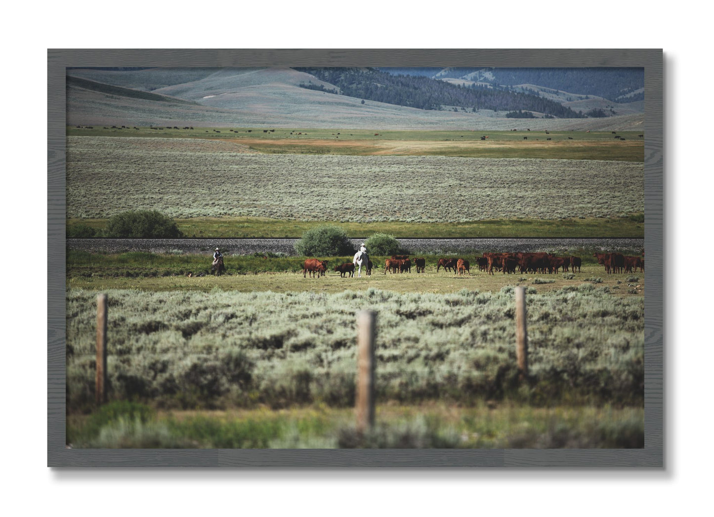 Framed photograph of Montana by Dylan Ozanich, Grey frame, Full Bleed