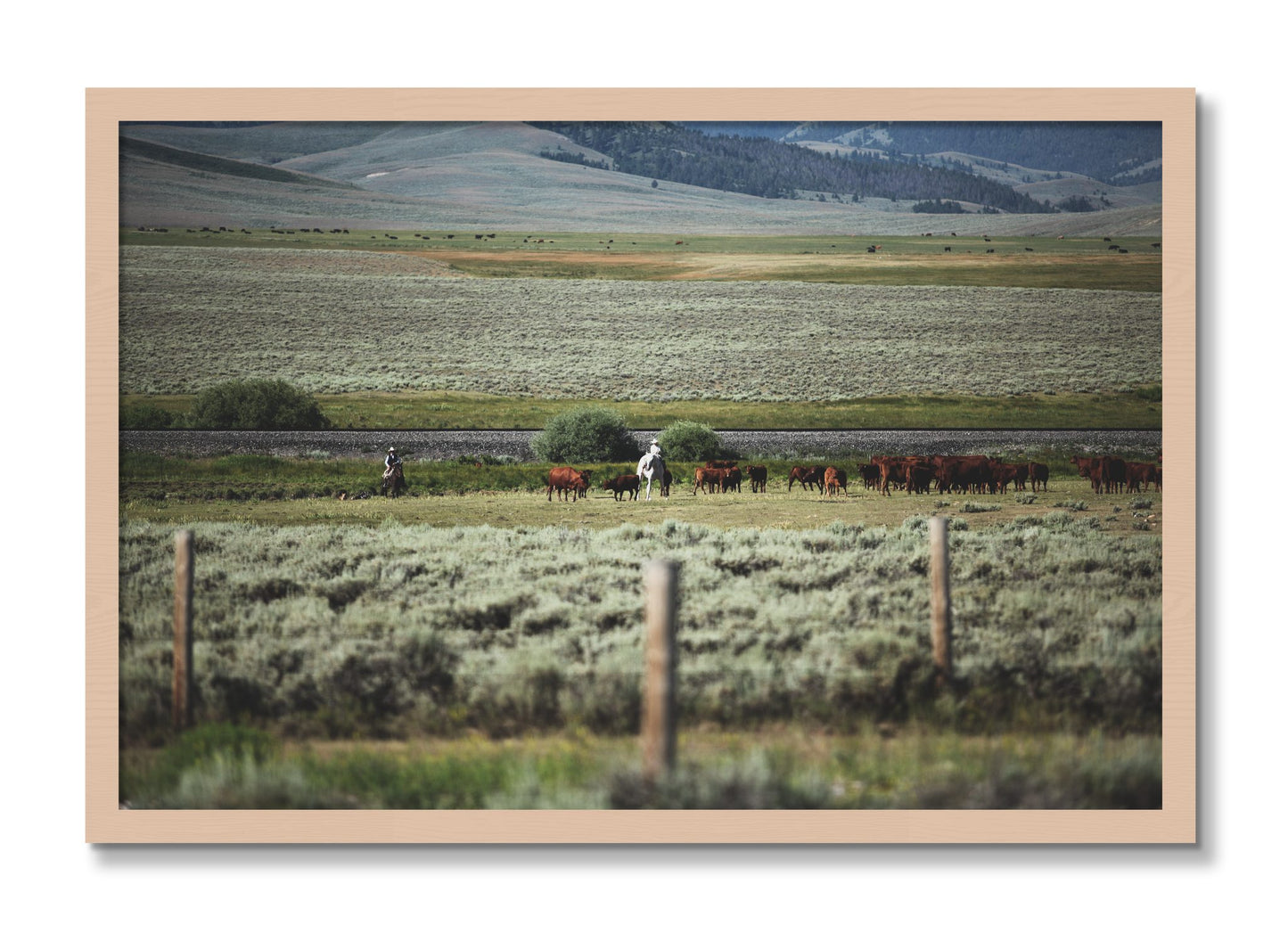 Framed photograph of Montana by Dylan Ozanich, Maple frame, Full Bleed