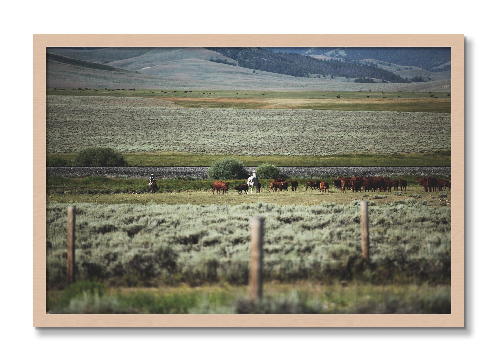 Framed photograph of Montana by Dylan Ozanich, Maple frame, Full Bleed