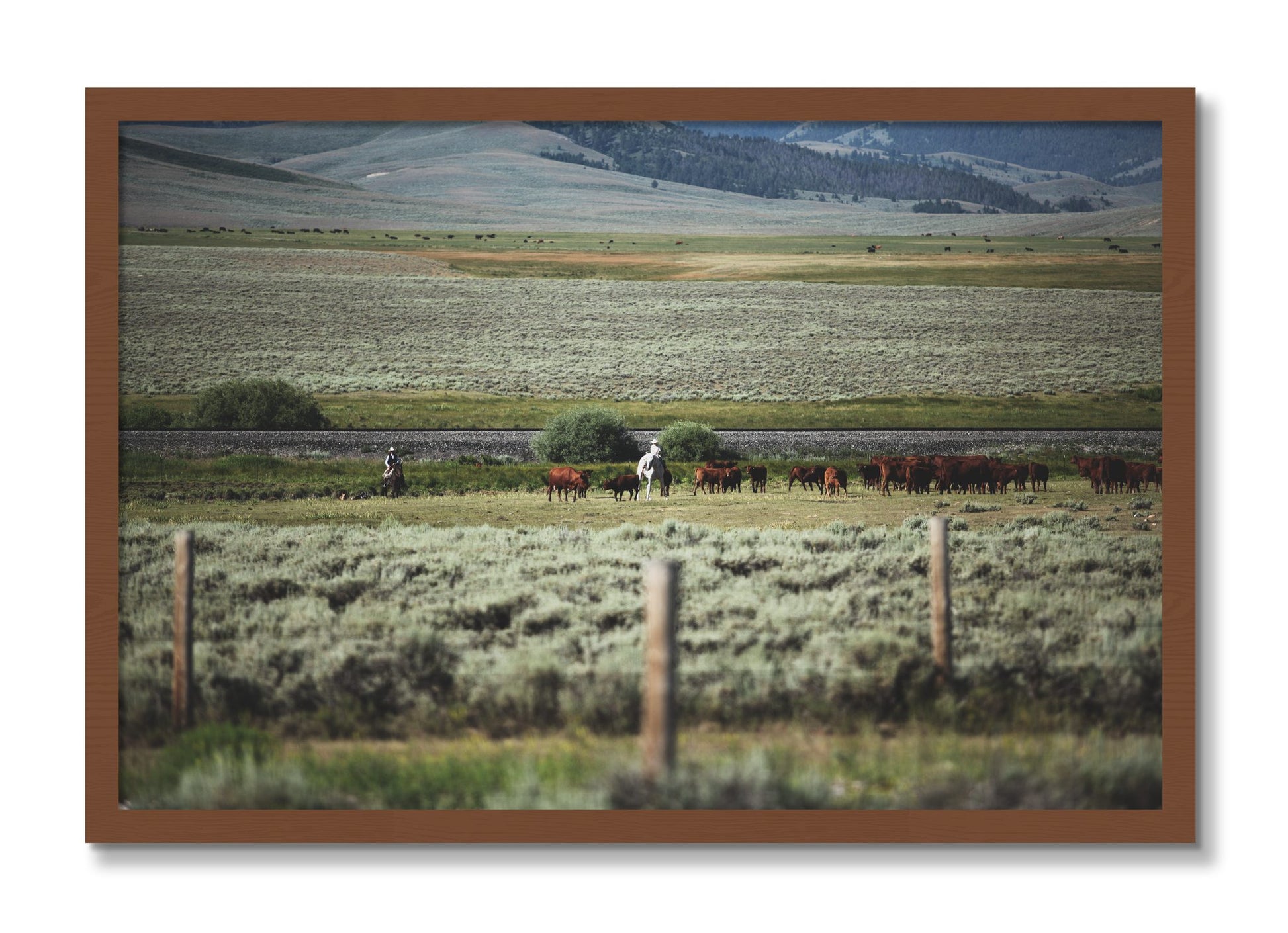 Framed photograph of Montana by Dylan Ozanich, Walnut frame, Full Bleed