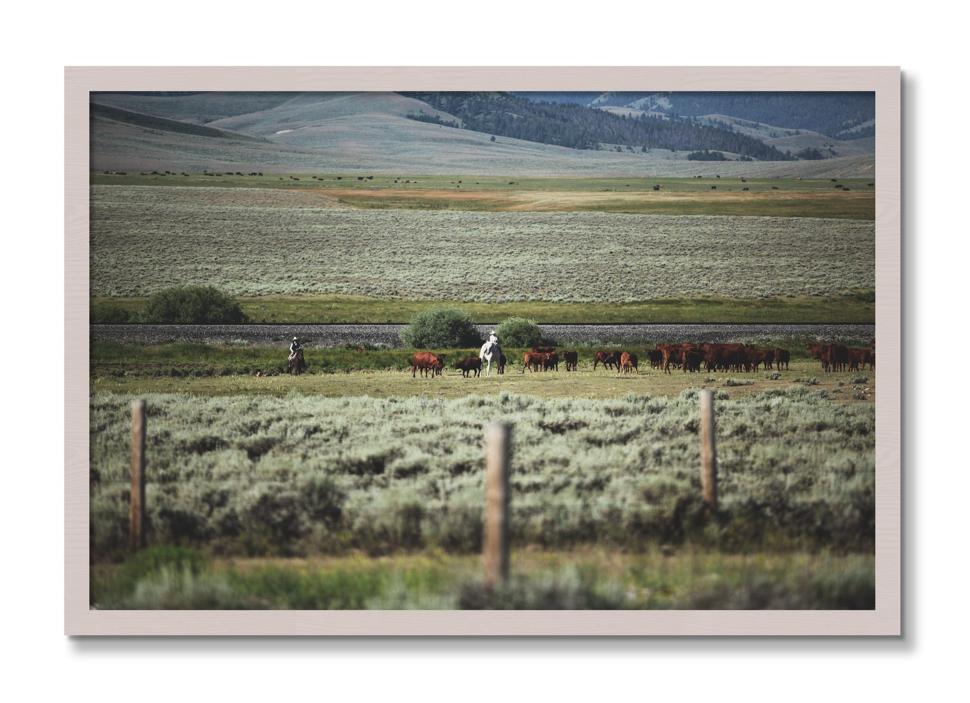 Framed photograph of Montana by Dylan Ozanich, White Maple frame, Full Bleed