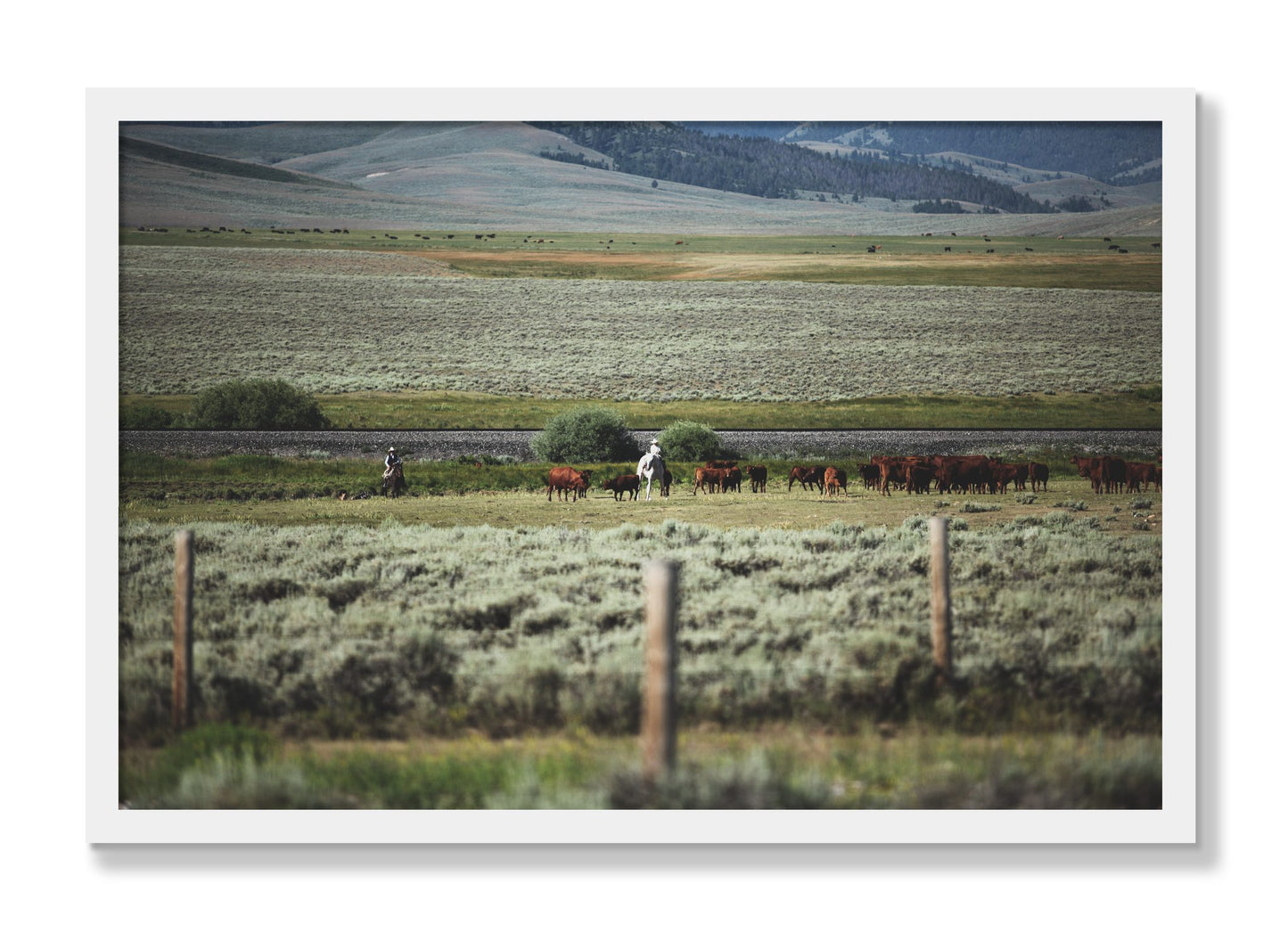 Framed photograph of Montana by Dylan Ozanich, White frame, Full Bleed