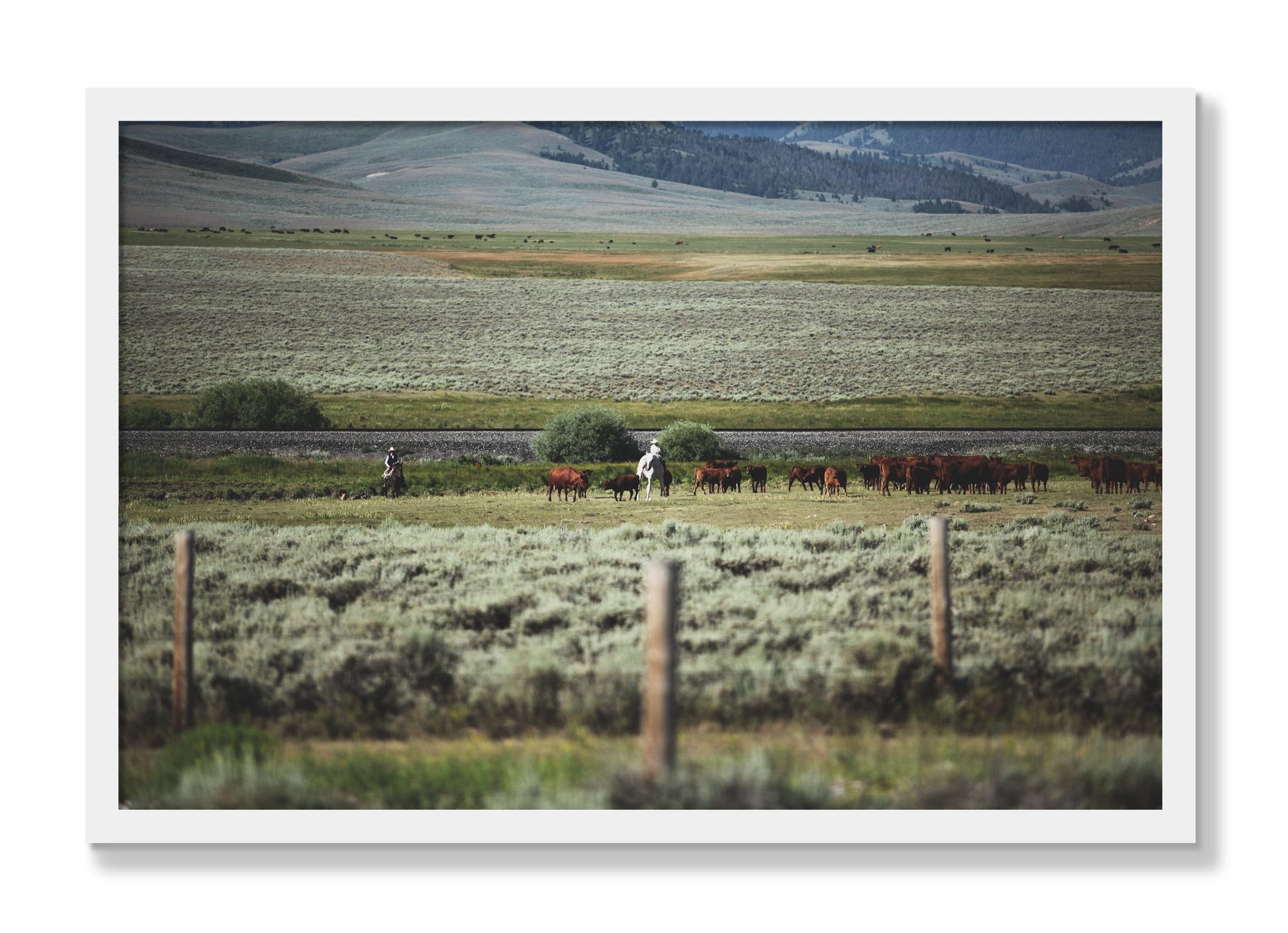 Framed photograph of Montana by Dylan Ozanich, White frame, Full Bleed