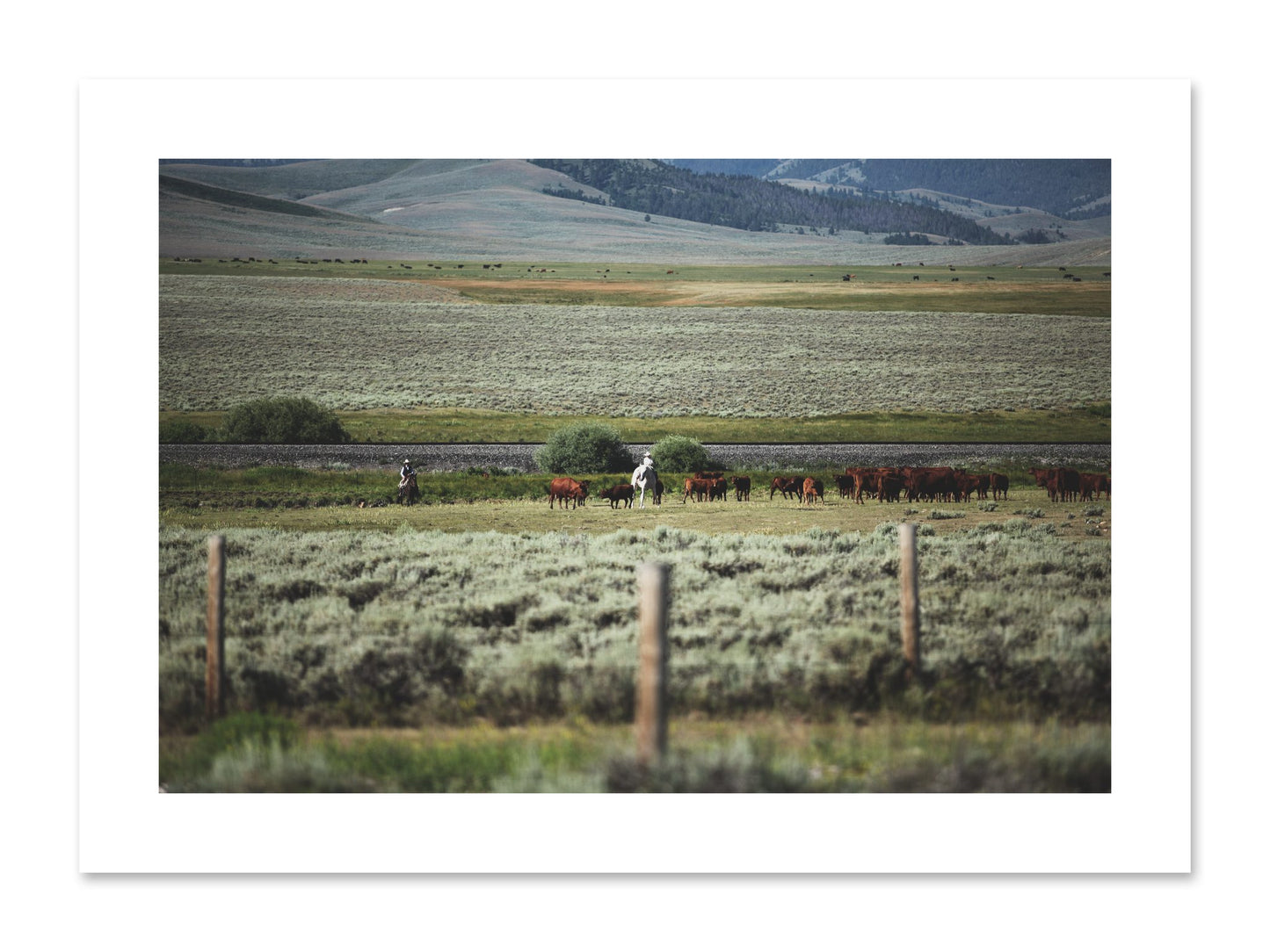 Fine art print of Montana by Dylan Ozanich, unframed