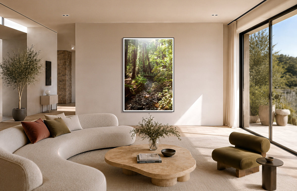 Muir Woods California in a room