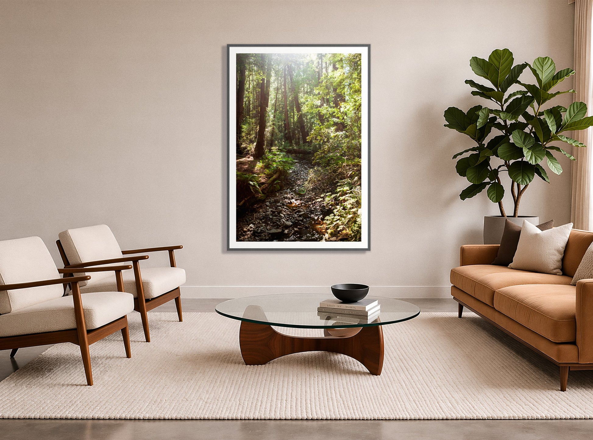 Framed photograph of Muir Woods California by Dylan Ozanich displayed on a wall