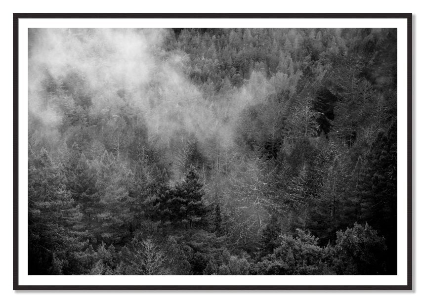 Muir by Dylan Ozanich, 48×72 print with a White Border in a Black Walnut frame