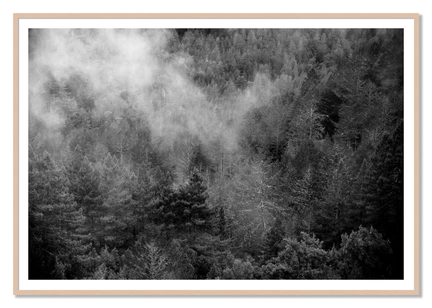 Muir by Dylan Ozanich, 48×72 print with a White Border in a Maple frame