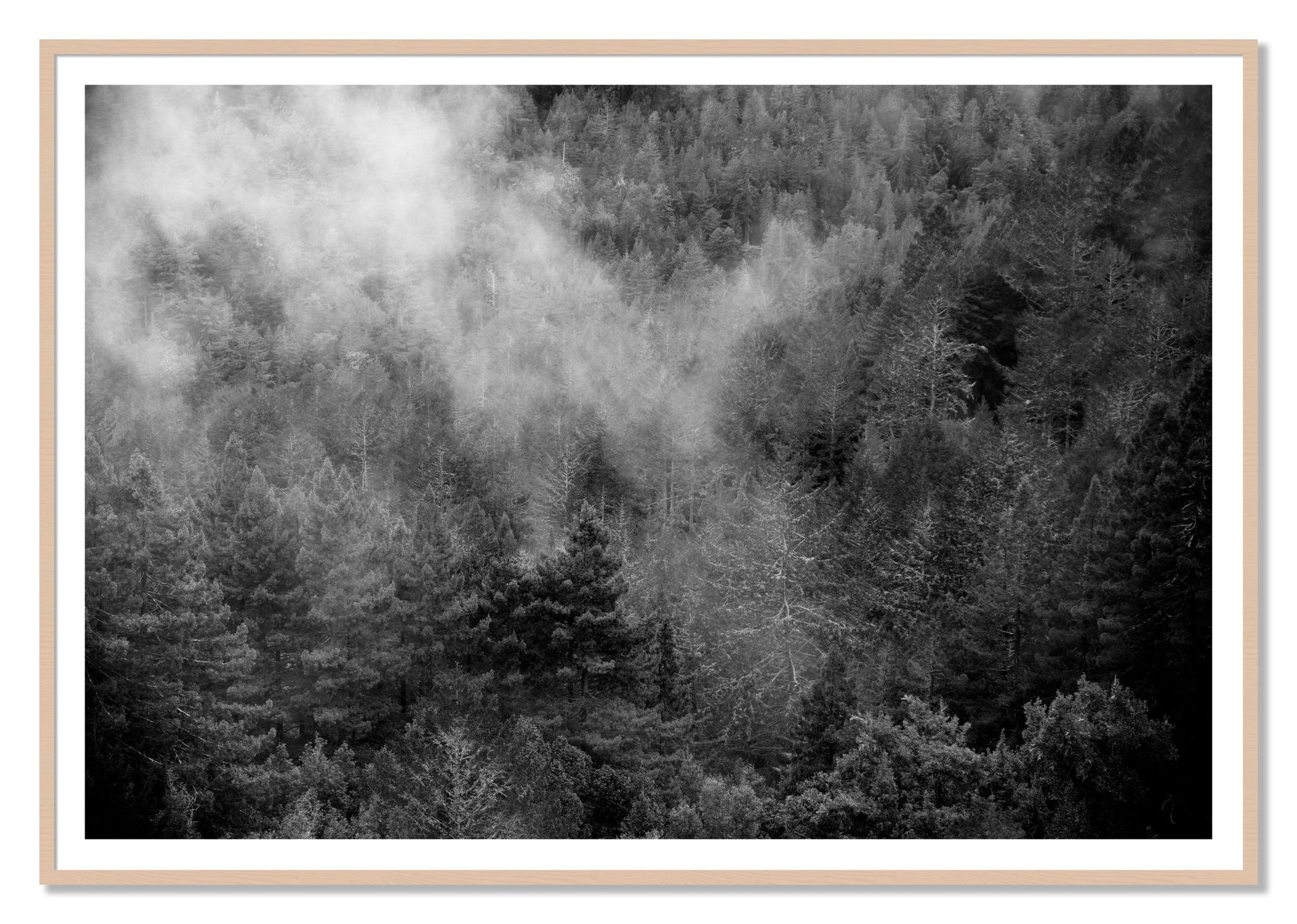 Muir by Dylan Ozanich, 48×72 print with a White Border in a Maple frame