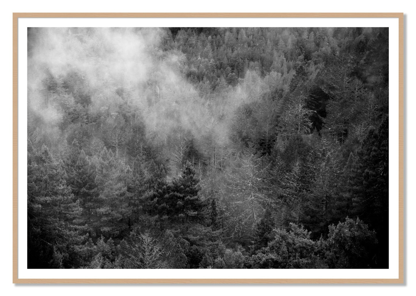 Muir by Dylan Ozanich, 48×72 print with a White Border in an Oak frame