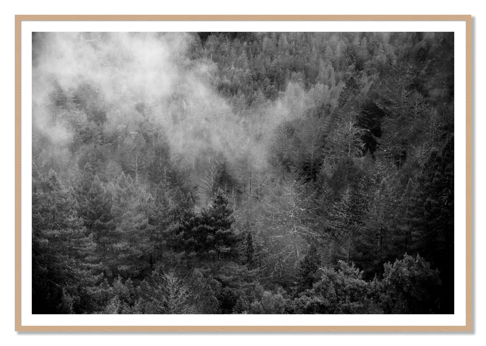 Muir by Dylan Ozanich, 48×72 print with a White Border in an Oak frame