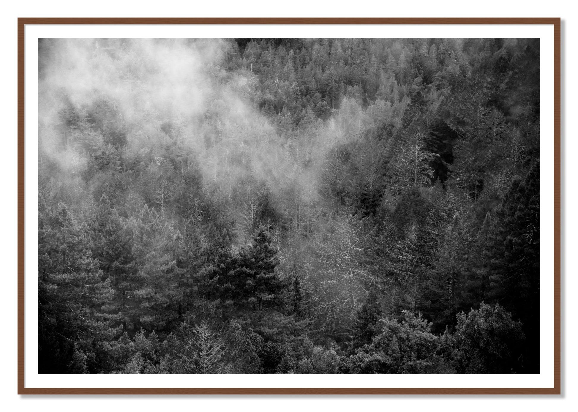 Muir by Dylan Ozanich, 48×72 print with a White Border in a Walnut frame