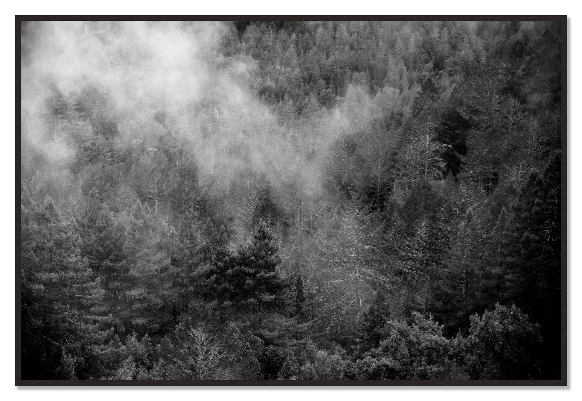 Muir by Dylan Ozanich, 48×72 Full Bleed Print in a Black Walnut frame