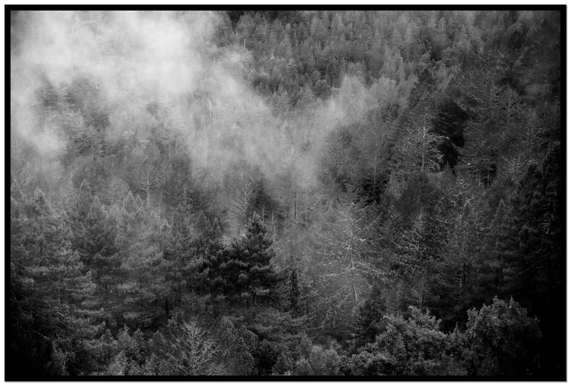 Muir by Dylan Ozanich, 48×72 Full Bleed Print in a Black frame