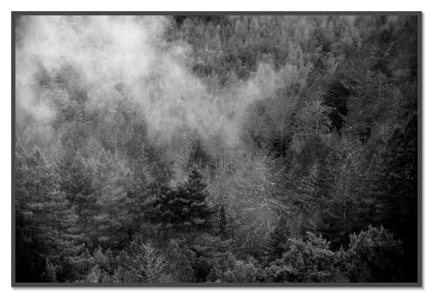 Muir by Dylan Ozanich, 48×72 Full Bleed Print in a Grey frame