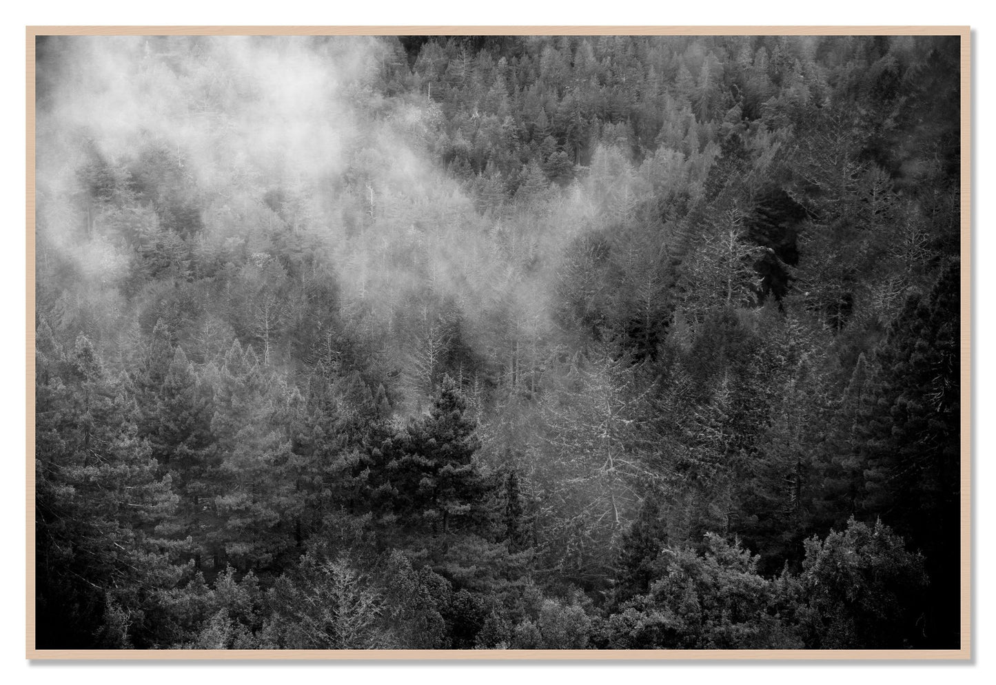 Muir by Dylan Ozanich, 48×72 Full Bleed Print in a Maple frame