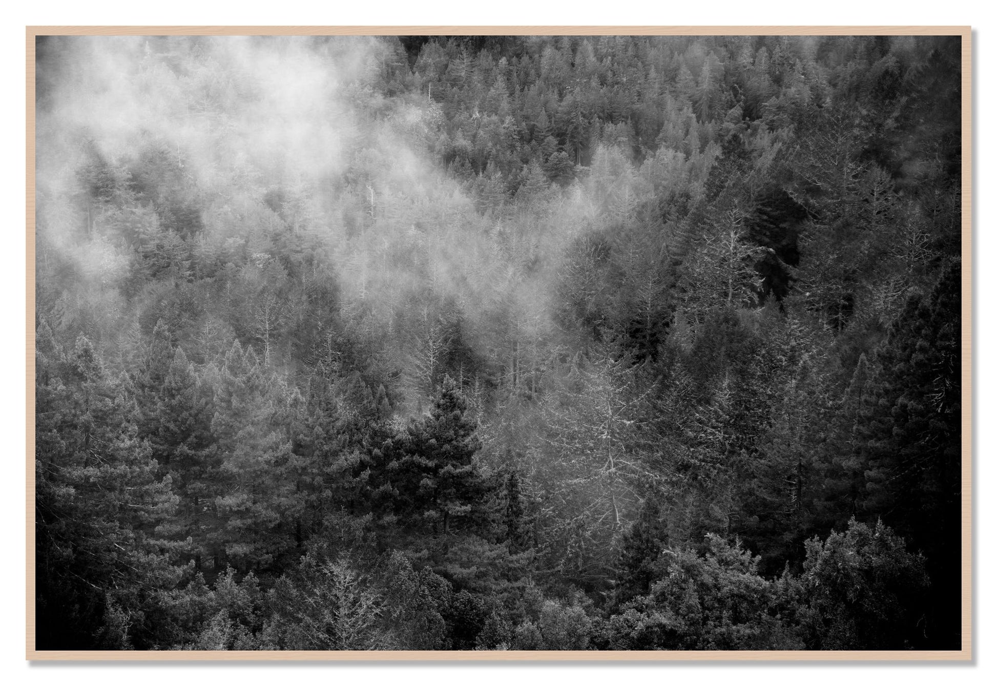 Muir by Dylan Ozanich, 48×72 Full Bleed Print in a Maple frame