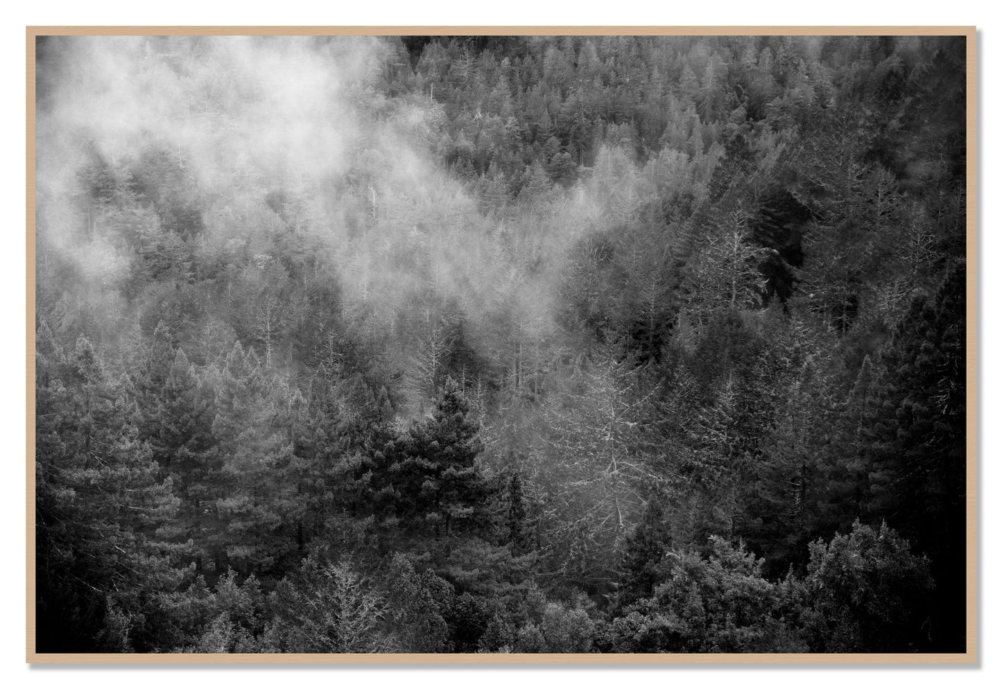 Muir by Dylan Ozanich, 48×72 Full Bleed Print in an Oak frame