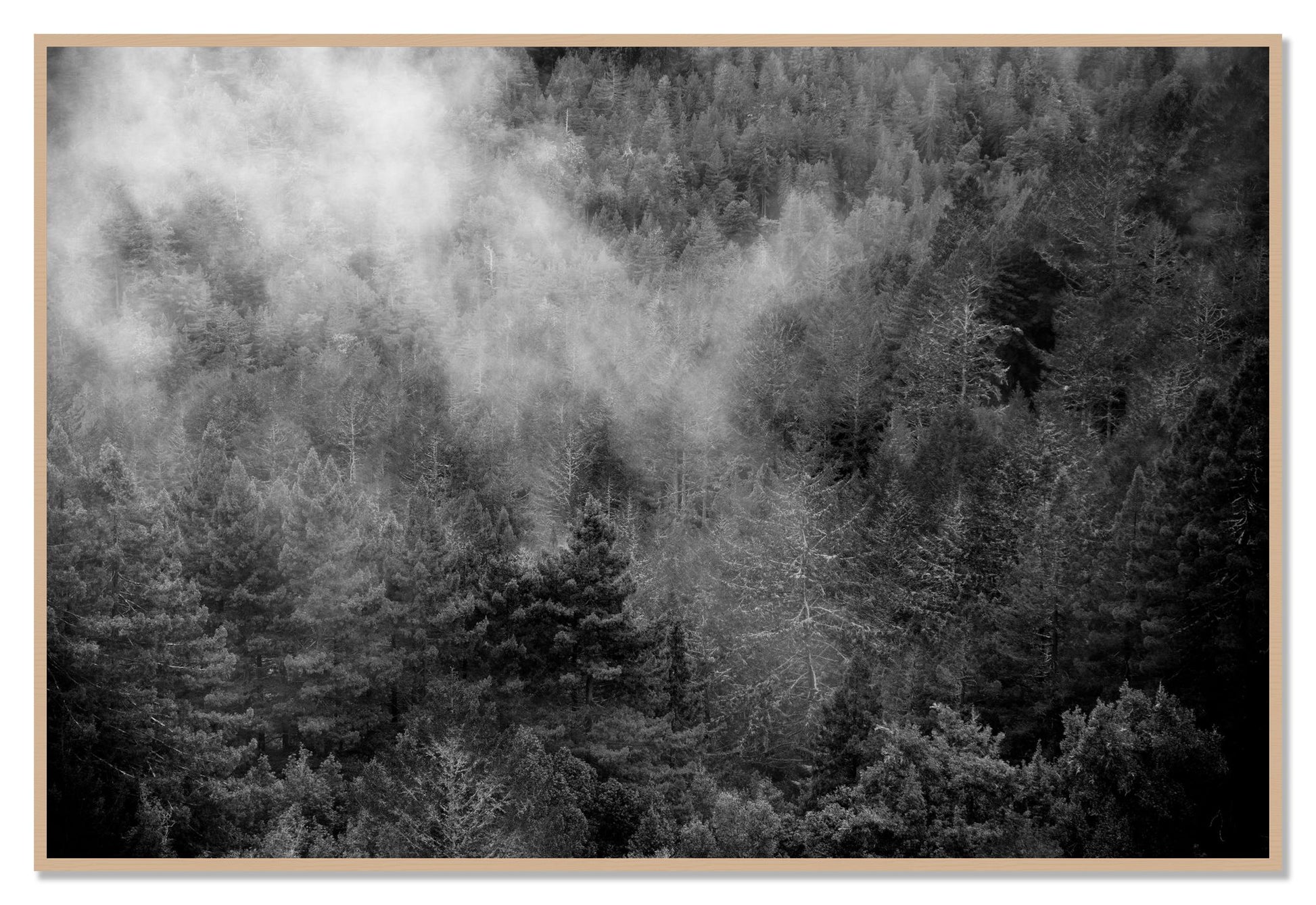 Muir by Dylan Ozanich, 48×72 Full Bleed Print in an Oak frame