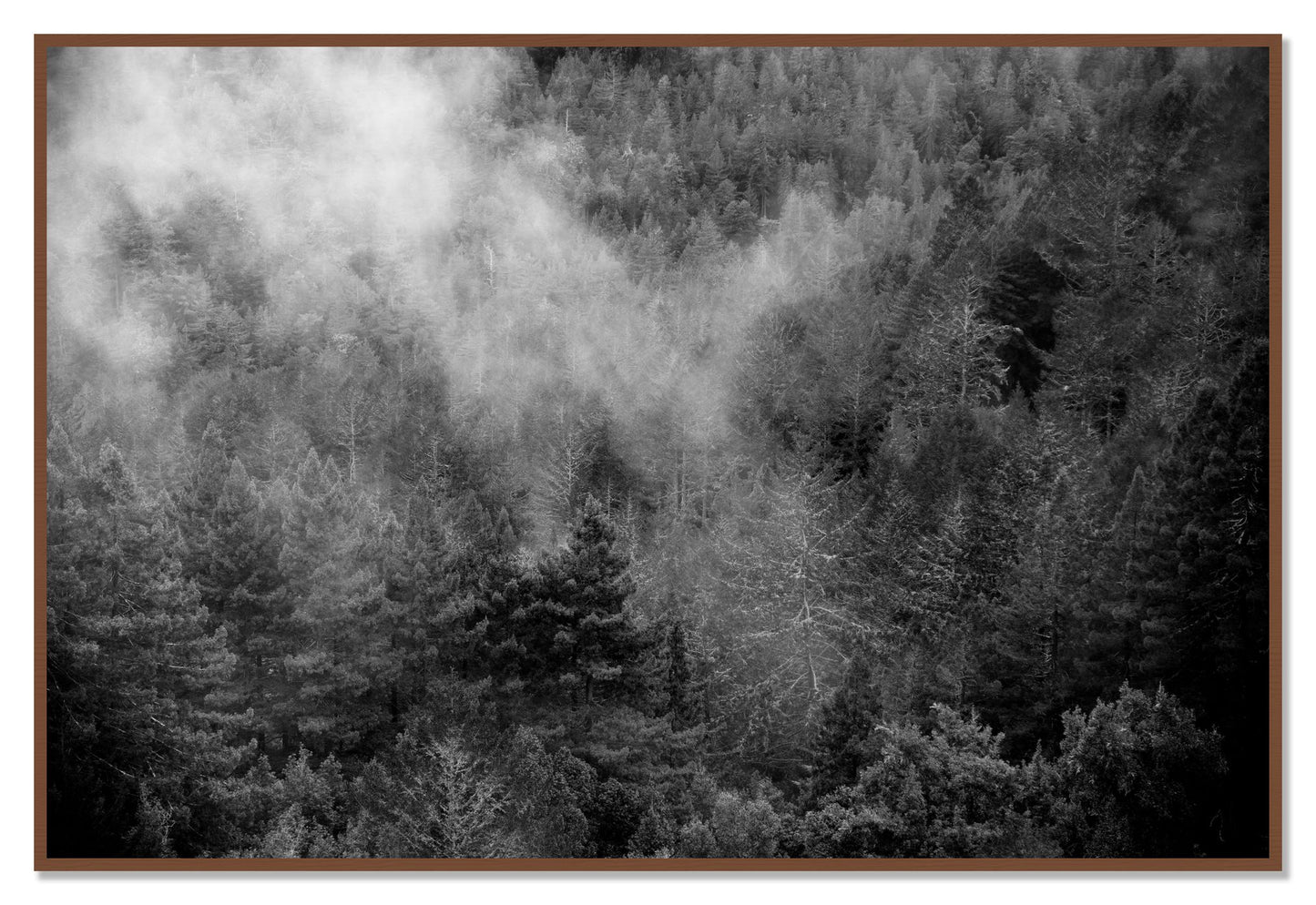 Muir by Dylan Ozanich, 48×72 Full Bleed Print in a Walnut frame