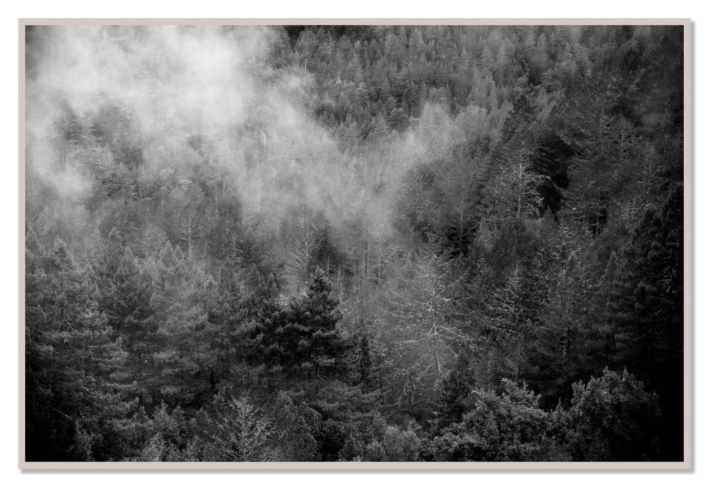 Muir by Dylan Ozanich, 48×72 Full Bleed Print in a White Maple frame