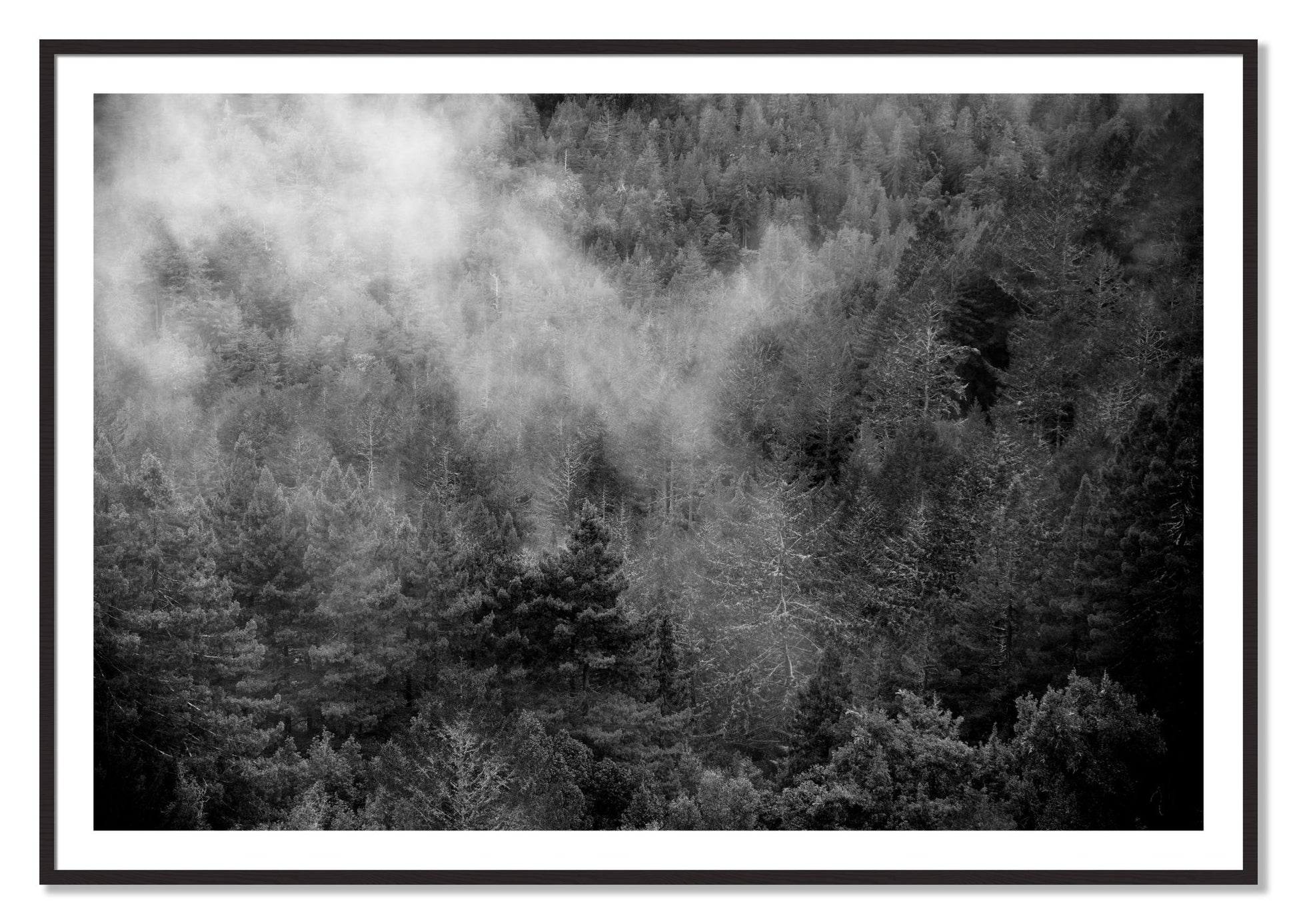 Framed photograph of Muir by Dylan Ozanich, Black Walnut frame, Borders
