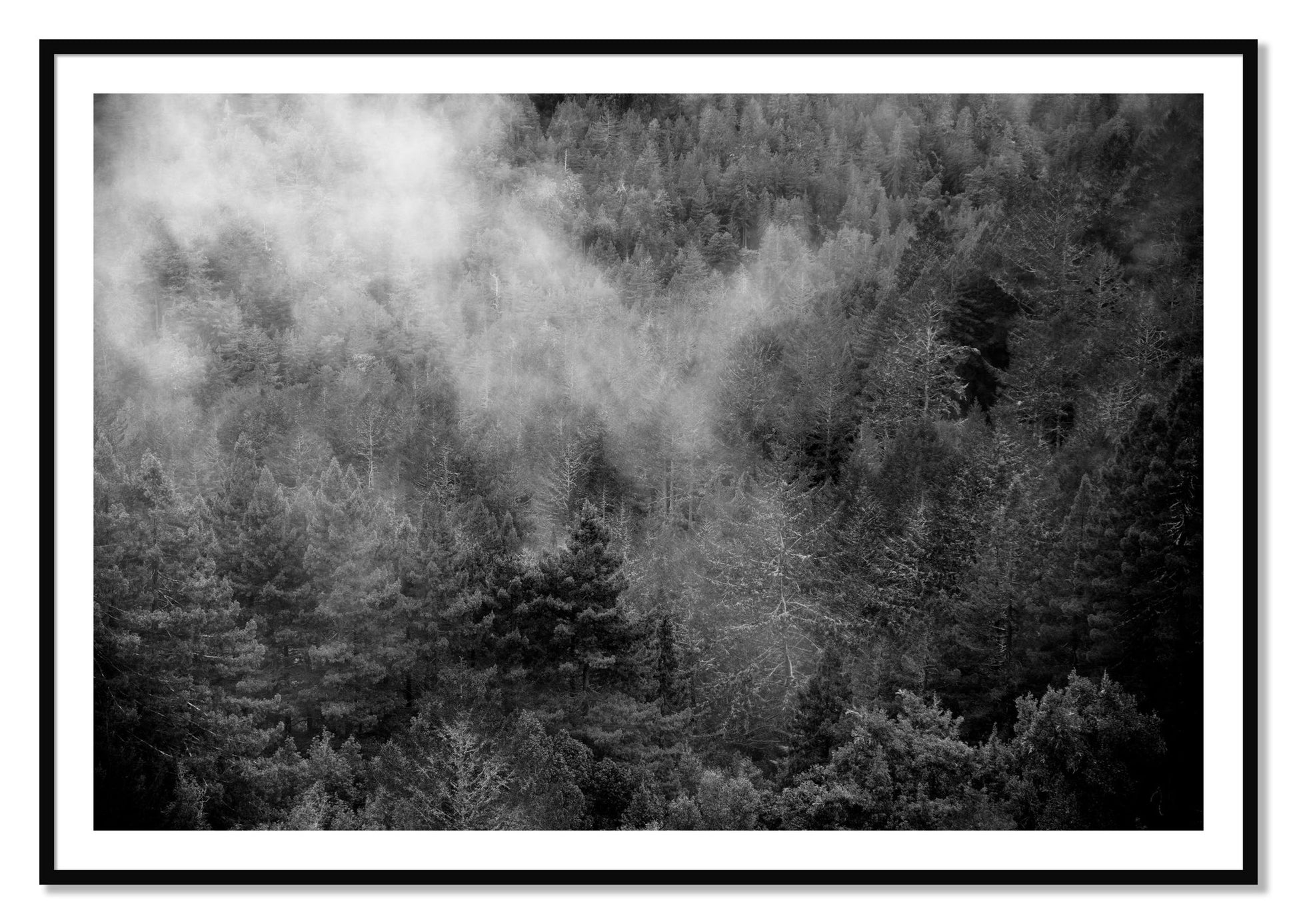 Framed photograph of Muir by Dylan Ozanich, Black frame, Borders