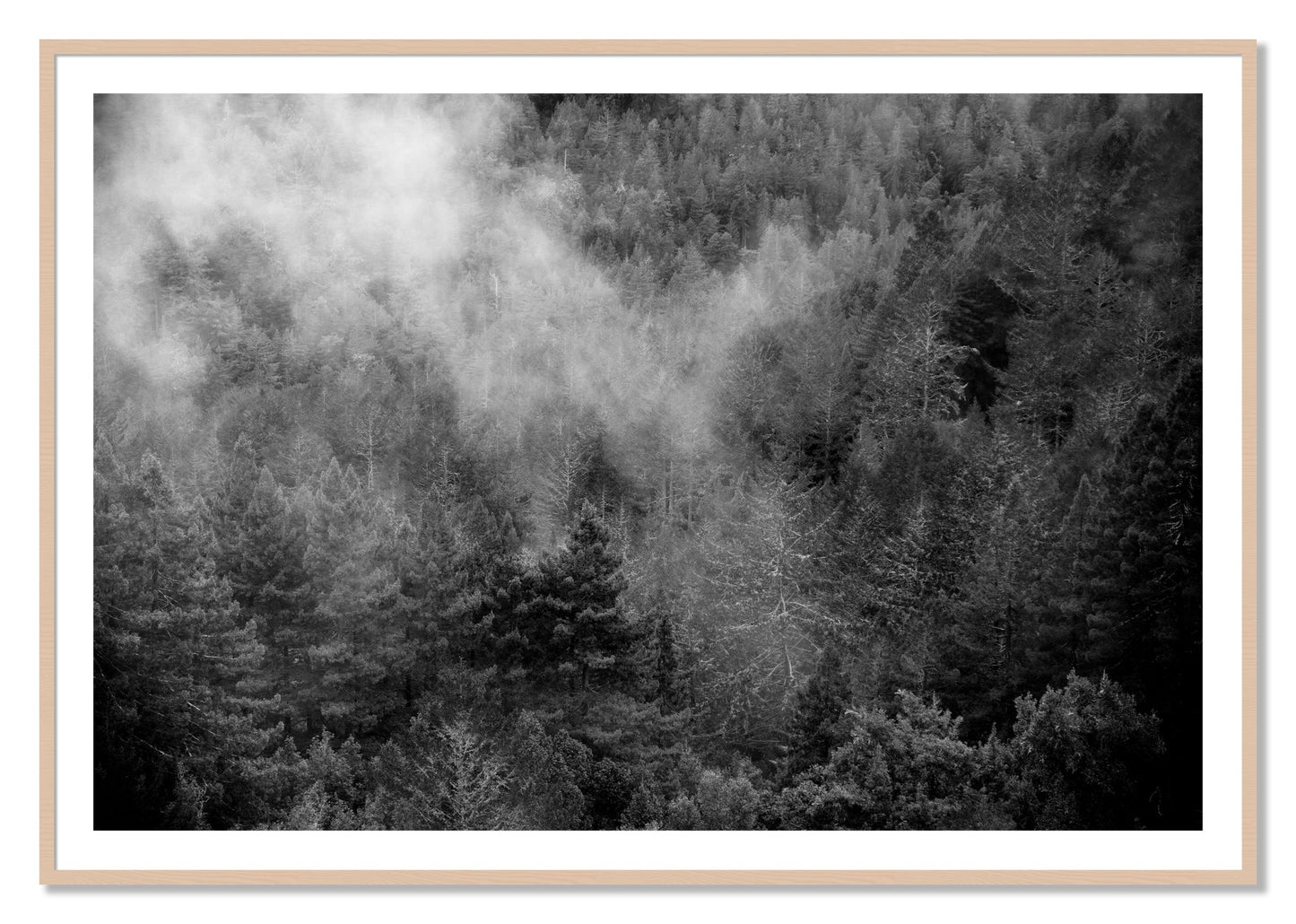 Framed photograph of Muir by Dylan Ozanich, Maple frame, Borders